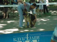 DSC02854.JPG