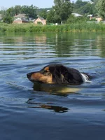 DSCF0810.webp