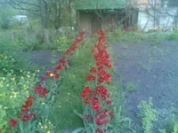 13052011.jpg