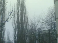  574.webp