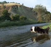 DSCF0833.webp