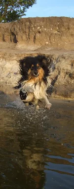DSCF0828.webp