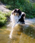DSCF0818.webp