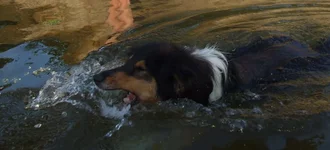 DSCF0825.webp