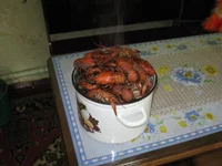 136.webp