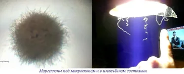 1301315183_m.webp