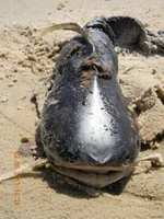 image020.webp