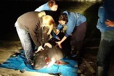 image030.webp
