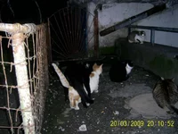 PIC_0139.webp