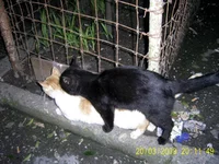 PIC_0142.webp