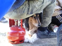 DSC02335-1.webp