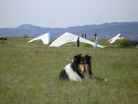 DSC02477-1.jpg