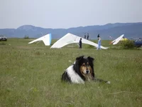 DSC02477-1.webp