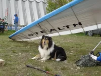 DSC02542-1.webp