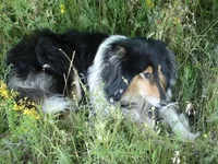 DSC05831-1.jpg