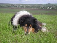 DSCN0183-1.jpg
