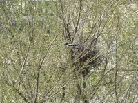 DSC02101.jpg