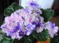 -радужные блики10.webp