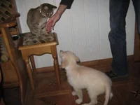 Asja%26Glory.first meeting.JPG