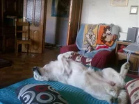05.05.11.webp
