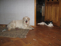 IMG_7168cut.jpg