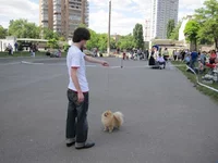 22.webp