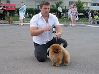 26.webp