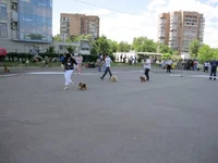 27.webp