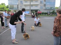 28.webp