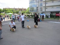 30.webp