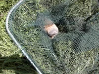 04062011954.webp
