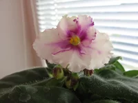 Murty _спорт_0760.webp