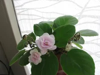 Rob's Vanilla Trail_0759.webp