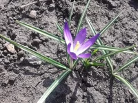 gjce7j.webp