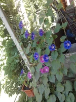 2011-06-06 08.47.36.webp