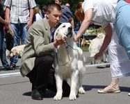 5 юня цац в Харькове 032.webp