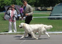 5 юня цац в Харькове 039.webp