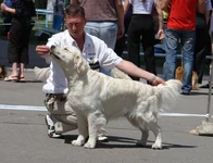 5 юня цац в Харькове 090.webp