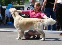 5 юня цац в Харькове 163.webp