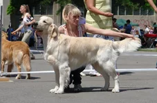 5 юня цац в Харькове 019.webp