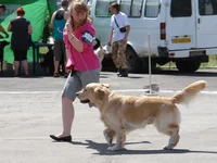 5 юня цац в Харькове 058.webp