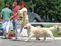 5 юня цац в Харькове 078.webp