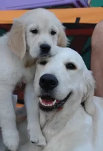 5 юня цац в Харькове 304.webp