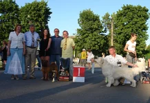 5 юня цац в Харькове 467.webp