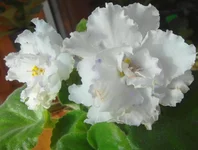 -мартовский снеговичек.webp