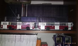 IMAG0303.webp