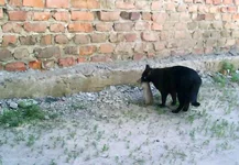 DSC00139.webp