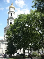 L1020453.webp
