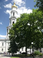 L1020451.webp