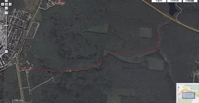 -окружная цвет.webp